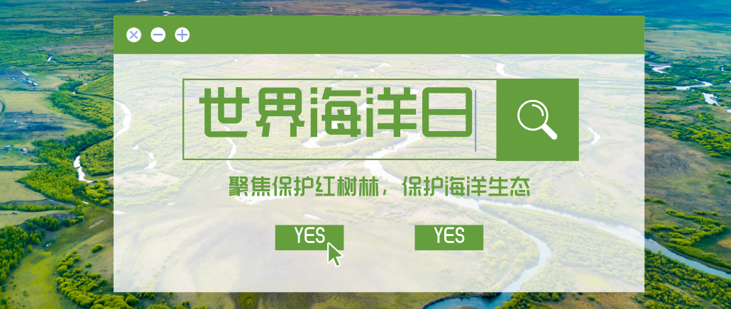 博耐斯带你了解世界海洋日，保护红树林，保护海洋生态，保护我们的地球